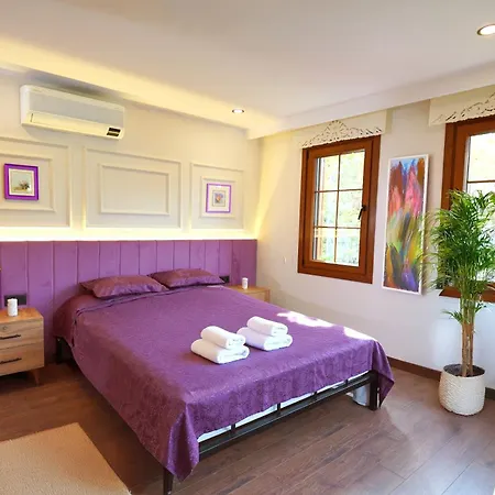 Bedreddin Mansion Tatil Evi