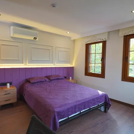 בית נופש Bedreddin Mansion *